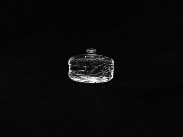 Kundengebundene Parfüm-Glas-Flaschen und Gläser freien Raumes 100ml Appliqué